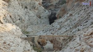 Tagho